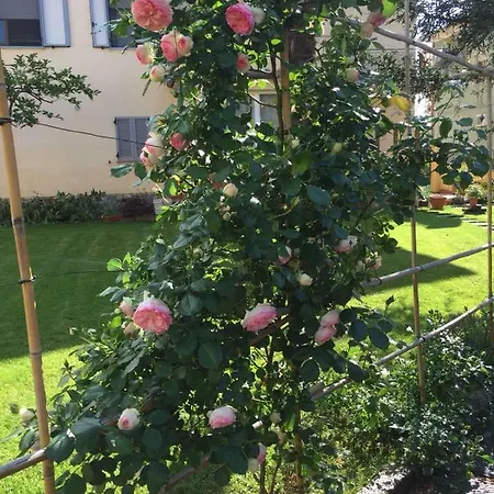 Casa Cautha Holiday home Cortona